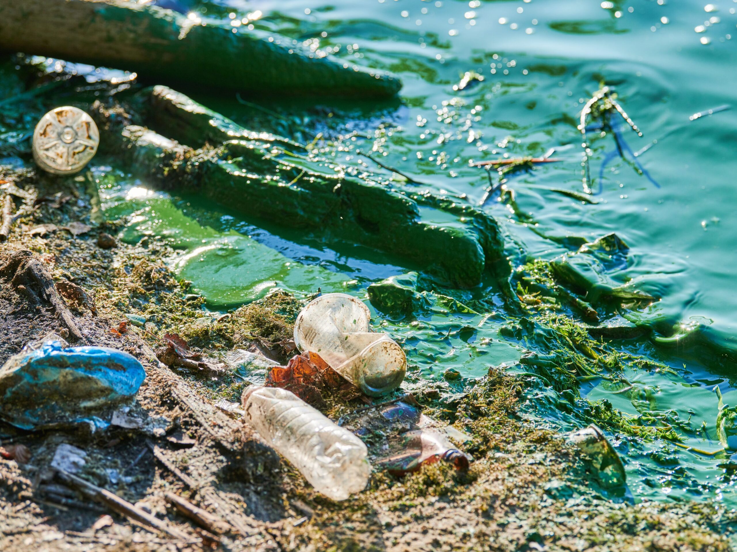 Report: Spatial Assessment of Litter Pollution Potential Along Urban Riverfronts in the Baltic Region